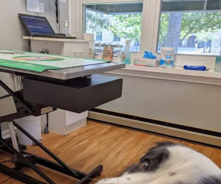 Petcare Veterinary Services