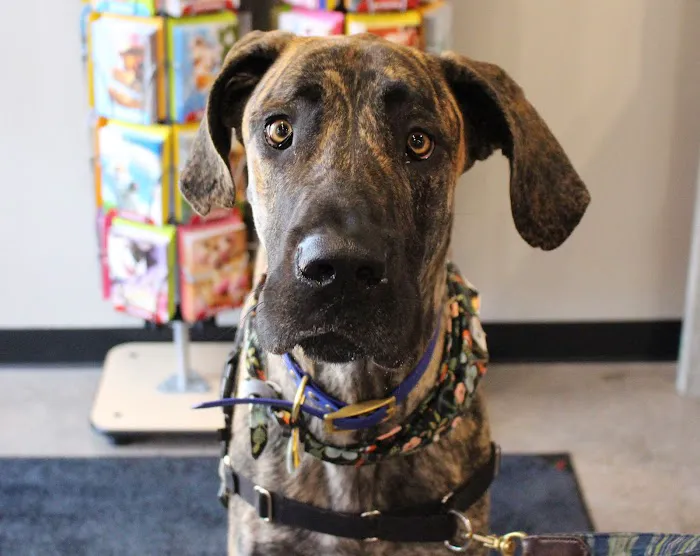 Chuck & Don's Pet Food & Supplies Picture 10