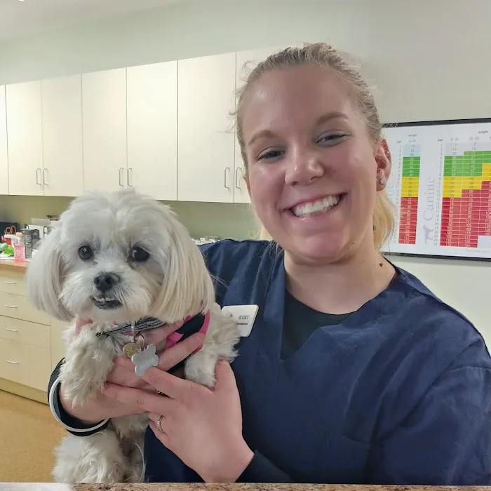 Newington Veterinary Clinic Picture 6