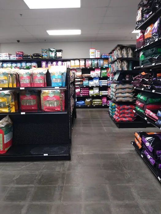 Chuck & Don's Pet Food & Supplies Picture 9