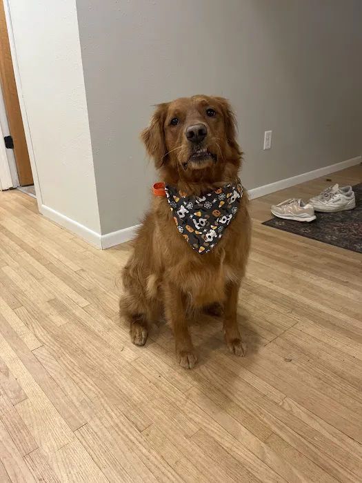 Muddy Paws Grooming Salon Picture 9