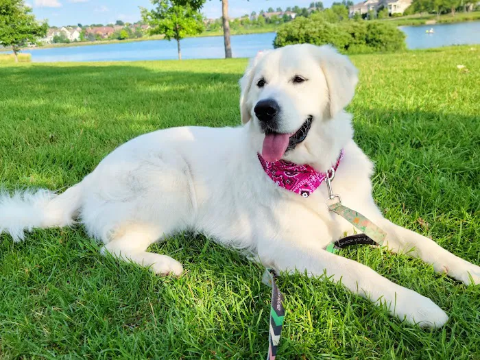 Muddy Paws Grooming Salon Picture 10