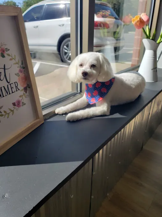 Muddy Paws Grooming Salon Picture 1
