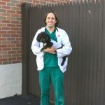 Connecticut Veterinary Center
