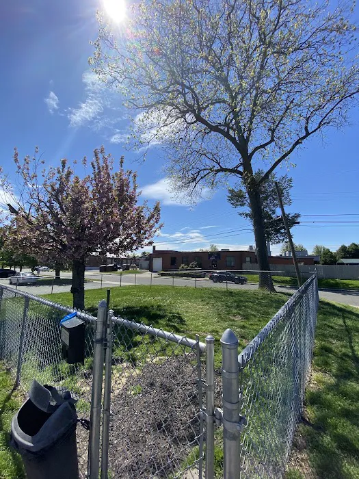 Connecticut Veterinary Center Picture 3