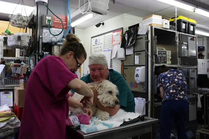 Connecticut Veterinary Center Picture 2