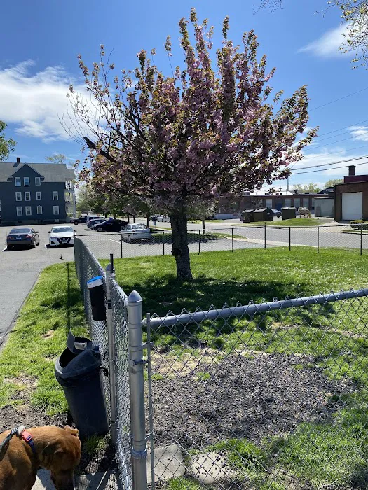 Connecticut Veterinary Center Picture 5
