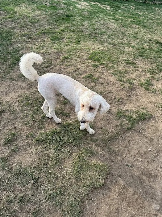 Connecticut Veterinary Center Picture 4