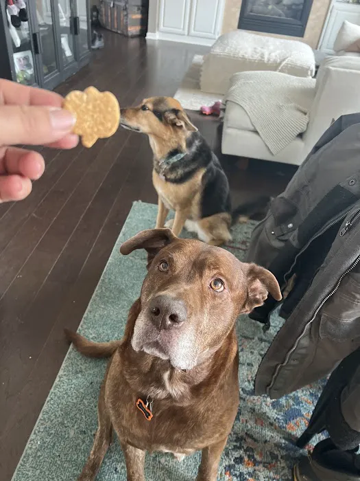 Maci Moo Treats Picture 3