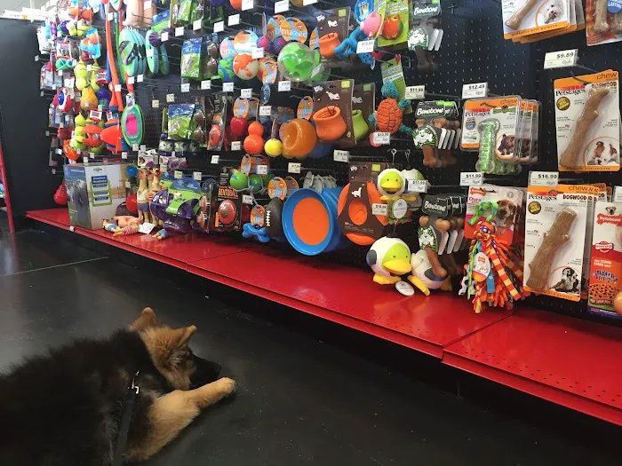 Chuck & Don's Pet Food & Supplies Picture 7