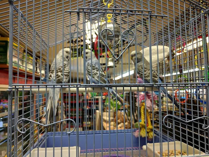 Forest Lake Pets Picture 6