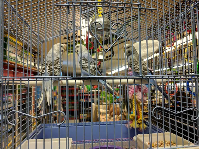 Forest Lake Pets Picture 5