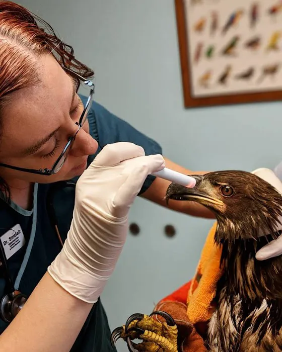 Kensington Bird & Animal Hospital Picture 1