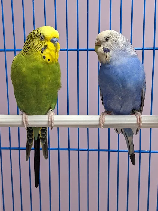 Kensington Bird & Animal Hospital Picture 7