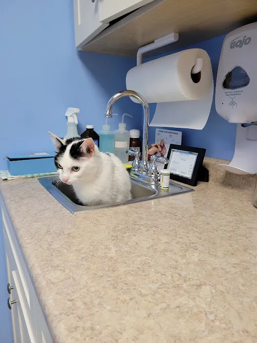 Kensington Bird & Animal Hospital Picture 6