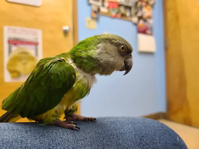 Kensington Bird & Animal Hospital Picture 5