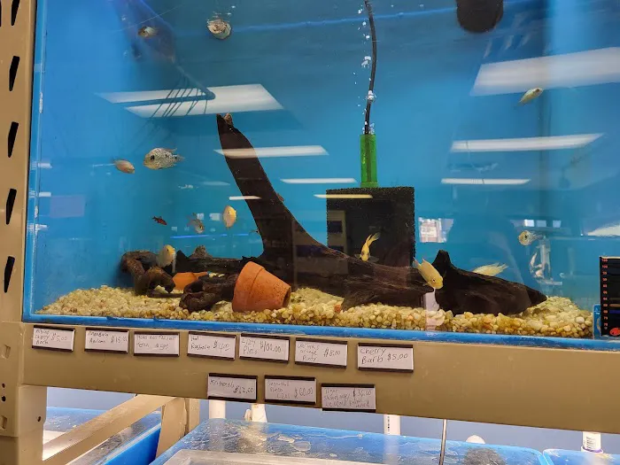 Pure Fish Works Picture 2