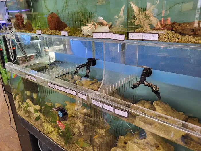 Pure Fish Works Picture 5