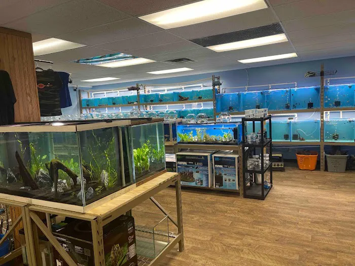 Pure Fish Works Picture 7