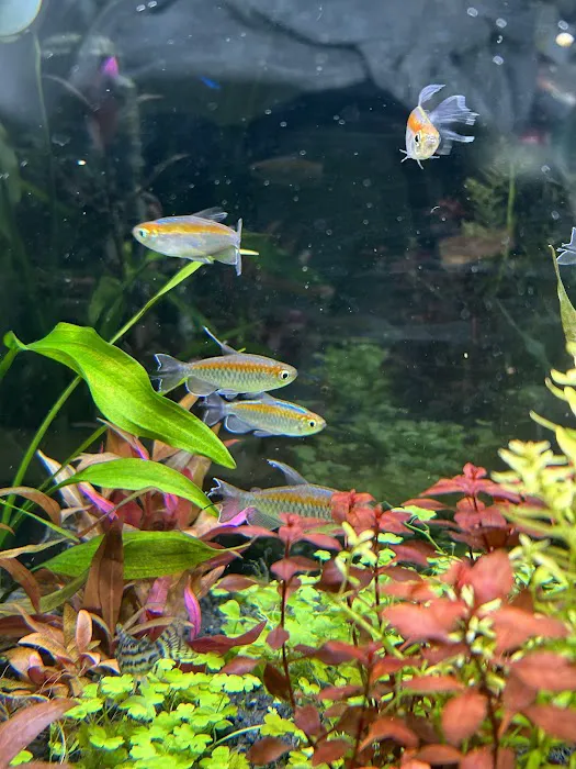 Pure Fish Works Picture 9