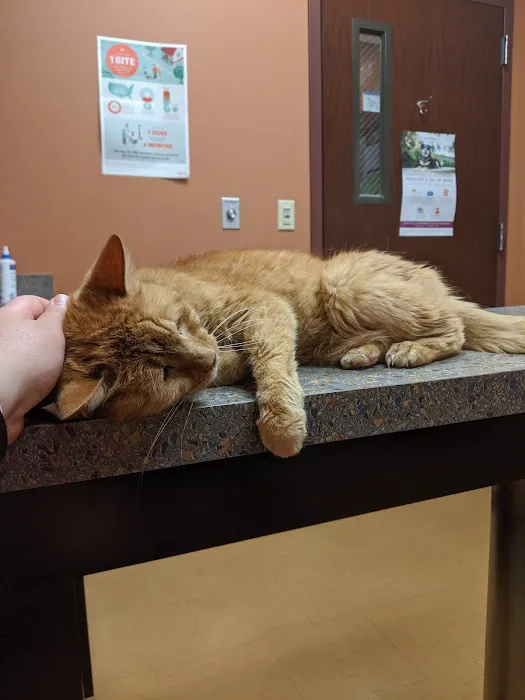 Compassionate Care Veterinary Hospital Picture 9
