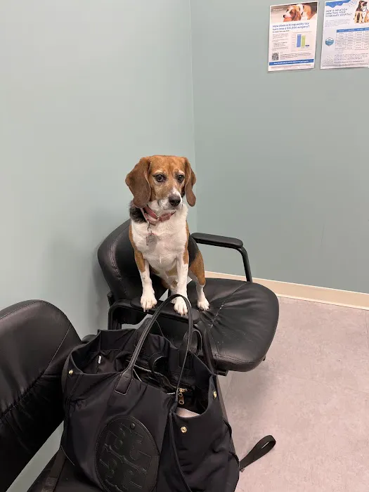 Compassionate Care Veterinary Hospital Picture 8
