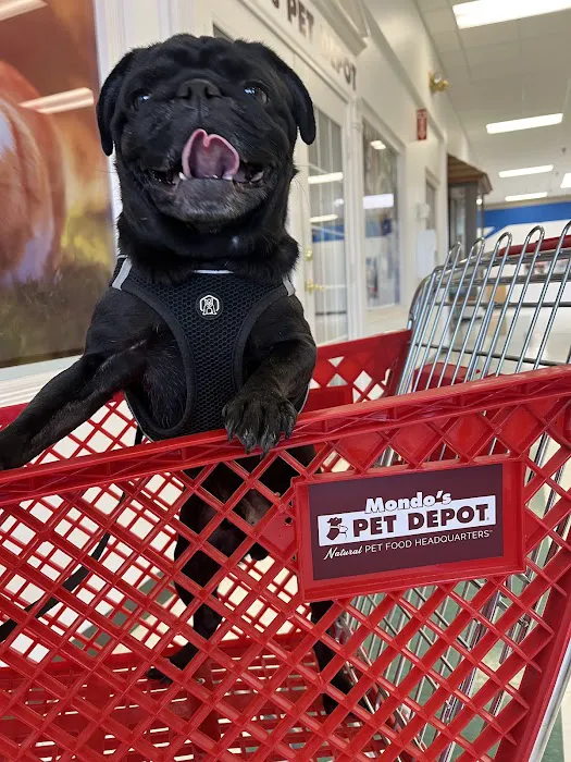 Mondo's PET DEPOT Picture 7