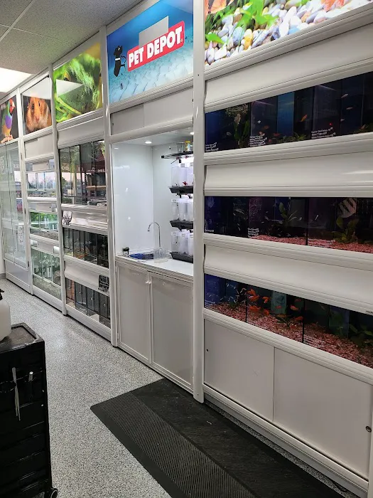 Mondo's PET DEPOT Picture 3