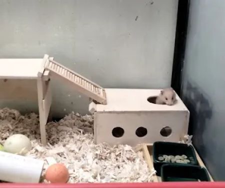 Mondo's PET DEPOT
