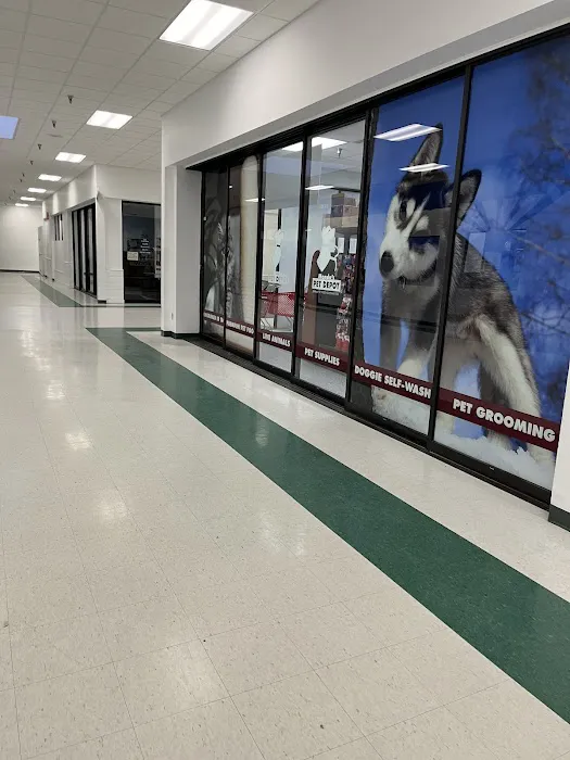 Mondo's PET DEPOT Picture 2