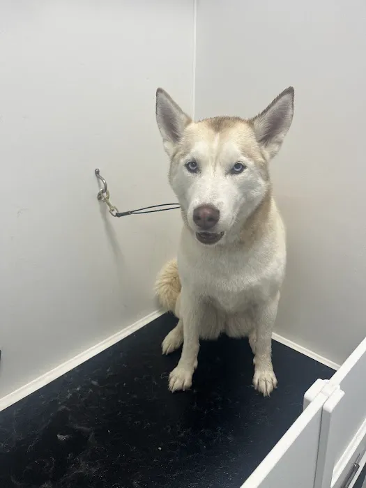 Mondo's PET DEPOT Picture 10
