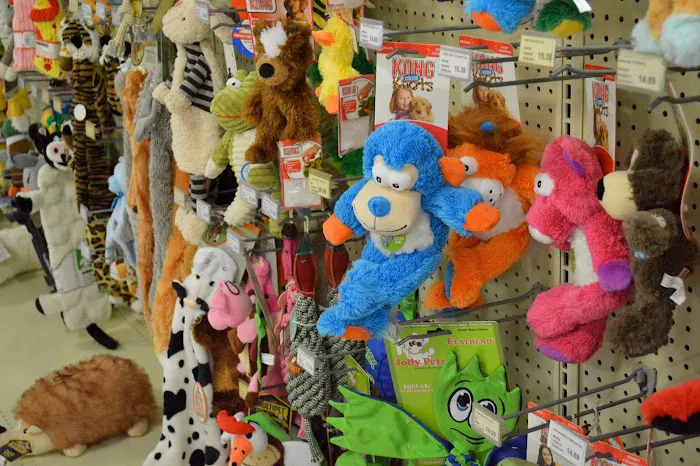 Angels Pet World Too Picture 4