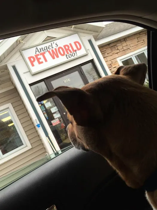 Angels Pet World Too Picture 7
