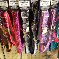 Angels Pet World Too ico