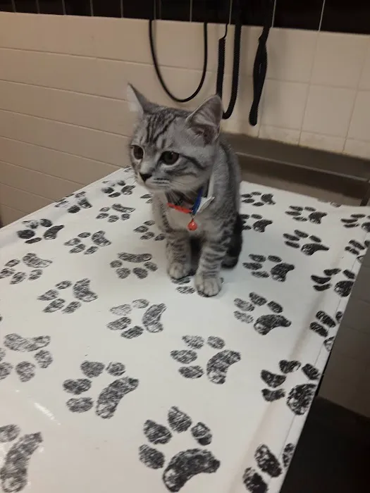 Fox Memorial Clinic Picture 1