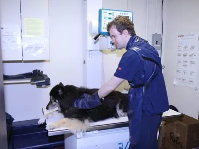 Animal Hospital of Rocky Hill Picture 5