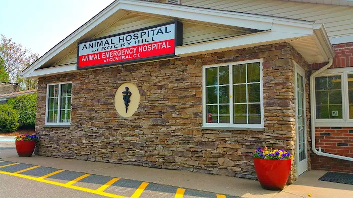 Animal Hospital of Rocky Hill Picture 4