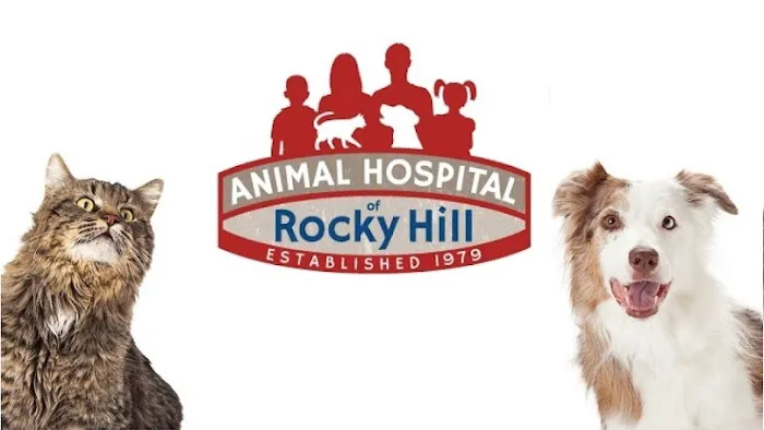 Animal Hospital of Rocky Hill Picture 1