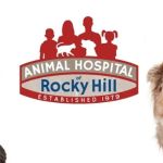 Animal Hospital of Rocky Hill