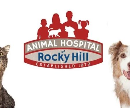 Animal Hospital of Rocky Hill