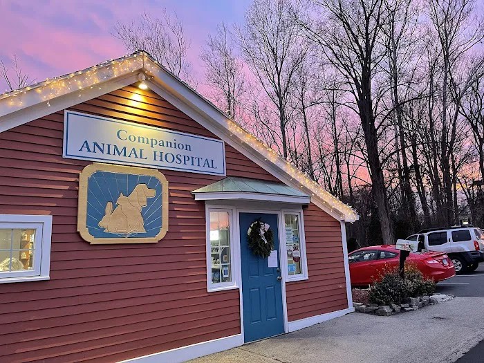Companion Animal Hospital Picture 8