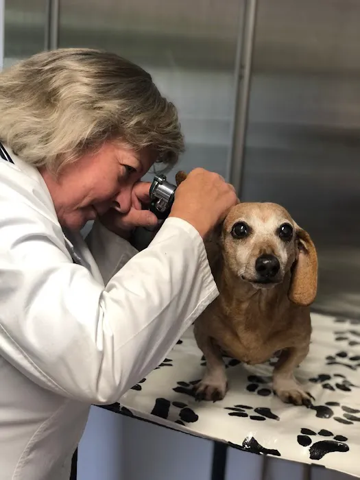 Companion Animal Hospital Picture 9