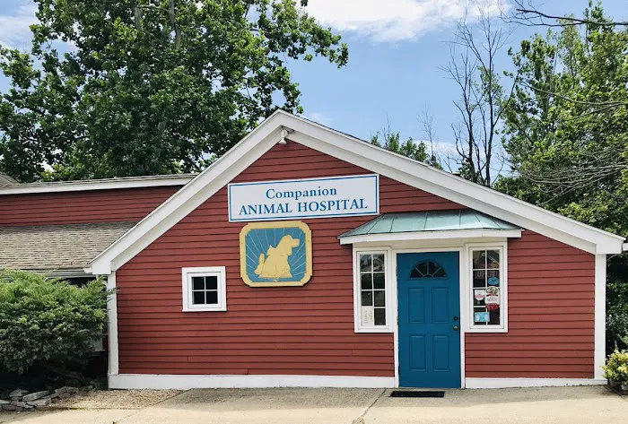 Companion Animal Hospital Picture 10