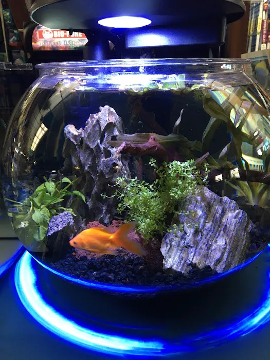 Aqualand Aquarium Center Picture 2