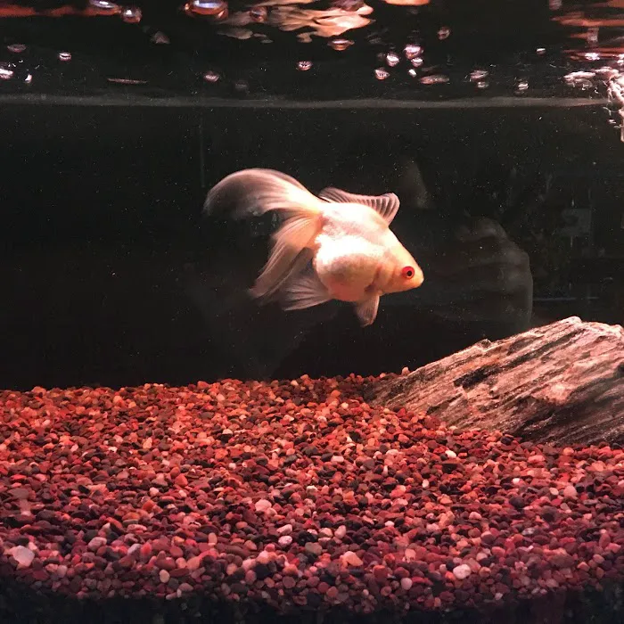 Aqualand Aquarium Center Picture 10