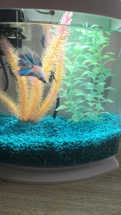 Aqualand Aquarium Center Picture 7