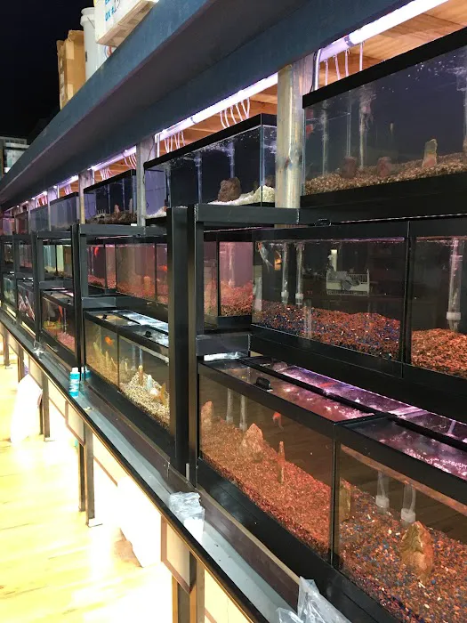 Aqualand Aquarium Center Picture 5