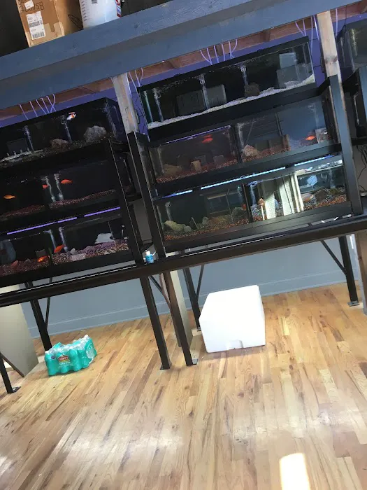 Aqualand Aquarium Center Picture 4
