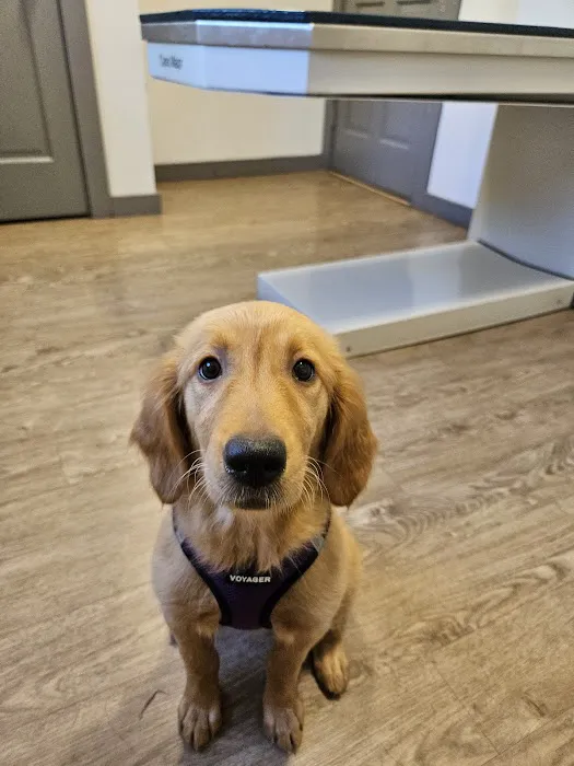 Powder Ridge Veterinary Hospital Picture 3