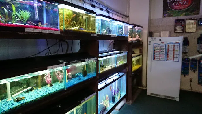 Indoor Fins Aquatic Pets Picture 2